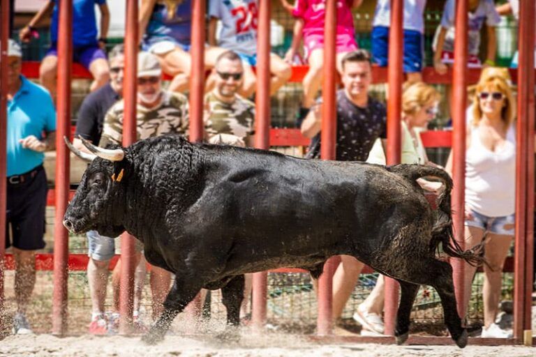 The Bull Run in Spain