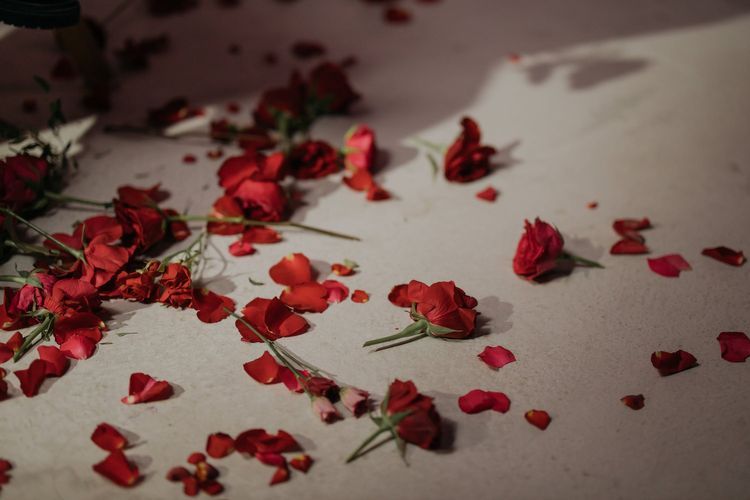 El Día de San Valentín El Día de San Valentín