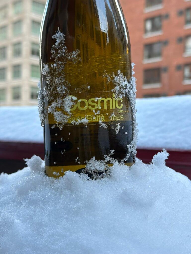wine in a cold winter day in new york city street